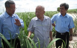 Cố Phó Thủ tướng Nguyễn Công Tạn: Suốt đời đau đáu vì nông nghiệp, nông dân