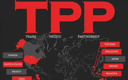 TPP: Động lực để kinh tế Việt Nam cải thiện nội lực