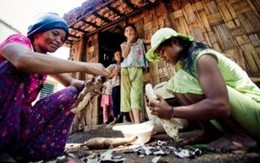 Nghìn tỷ cho giảm nghèo: Số liệu vênh, gạo chưa tới dân