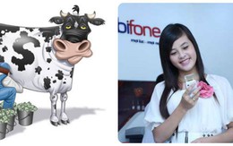 [Nổi bật] Lãi to như 'bò sữa' Vinamilk, Mobifone sẽ thành Tổng công ty?