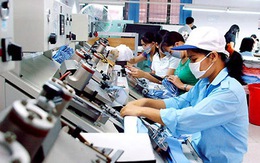 ADB chi thêm 50 triệu USD hỗ trợ doanh nghiệp nhỏ và vừa Việt Nam