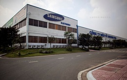 300 doanh nghiệp Việt đồng loạt xin làm vệ tinh cho Samsung