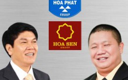 Tôn Hoa Sen vs. Thép Hòa Phát
