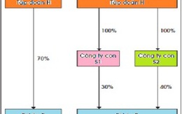 Nhận diện công ty Holdings: Thách thức nhìn từ báo cáo tài chính