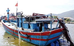 Hai tàu cá cùng 13 ngư dân Việt Nam bị Trung Quốc bắt giữ