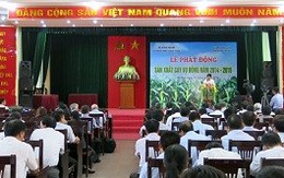 Sản xuất vụ đông 2014: Kỳ vọng đạt hơn 22.000 tỷ đồng