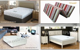 Everpia Việt Nam muốn mở room tối đa khi luật pháp cho phép