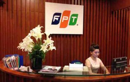 FPT có quỹ lợi nhuận chưa phân phối cao hơn VĐL, 6 tháng lãi ròng 789 tỷ đồng