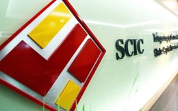 Chính phủ phê duyệt điều lệ tổ chức và hoạt động của SCIC
