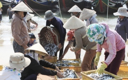 Seaprodex Saigon muốn huỷ giao dịch cổ phiếu trên UPCOM
