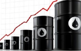 Cấm doanh nghiệp FDI xuất nhập khẩu dầu mỏ