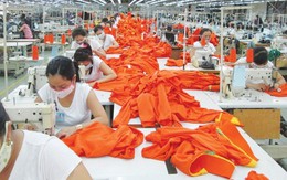 FTA Việt Nam-EU: Thách thức sản phẩm lợi thế