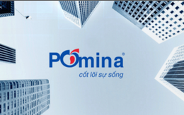 Thép Pomina: Doanh thu gần nửa tỷ USD, lỗ 219 tỷ đồng năm 2013