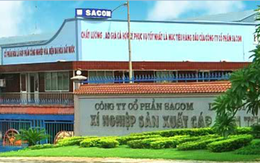Công ty mẹ Sacom lãi 150 tỷ đồng năm 2013