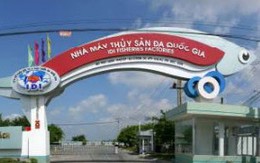 IDI: MBS đã mua 1,32 triệu cổ phiếu nâng tỷ lệ sở hữu lên 15,75%