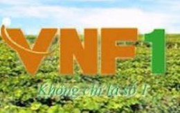 Tổng công ty Lương thực miền Bắc phải thoái vốn tại các ngân hàng đến hết 2015