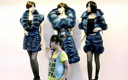 Doanh nghiệp áo lông Trung Quốc tăng giá vì cúm gia cầm