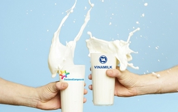 Thị trường sữa nước Việt Nam: Những kẻ tí hon đối đầu Vinamilk, Cô gái Hà Lan