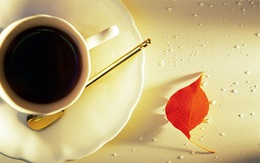 10 điều cần biết trước khi bắt đầu ngày làm việc 18/12