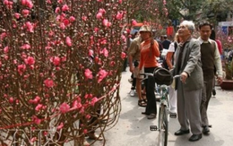 Chợ hoa Tết và thú chơi tao nhã của người Việt