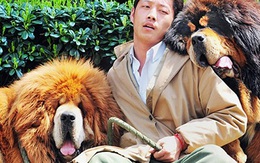 'Ông trùm' chi 2 triệu USD để mua một con Ngao Tạng