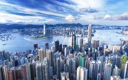Hồng Kông: Nuôi cá, trồng rau trên… nóc nhà