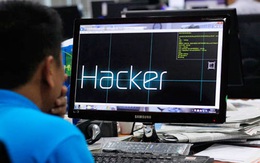 Lo ngại hacker, nhiều địa phương đề nghị được đào tạo an ninh mạng