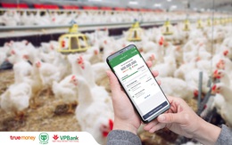 C.P. Việt Nam gỡ “nút thắt” vốn lưu động cho chuỗi phân phối bằng công nghệ số