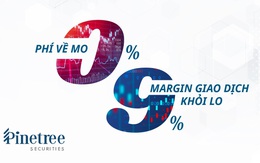 Margin tăng nhanh nhất thị trường, Pinetree Securities tiếp tục nới room và danh mục ký quỹ