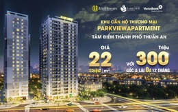 UniHomes giới thiệu dự án căn hộ thương mại ParkView Apartment  giá 22 triệu một m2