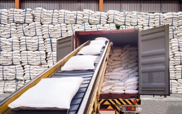 Cổ phiếu mía đường chuyển hướng thế nào trong tương lai?