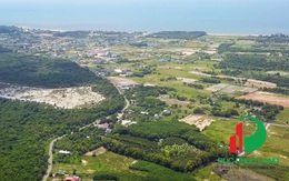 Phân khúc đất nền biệt thự nghỉ dưỡng ven rừng thu hút giới đầu tư