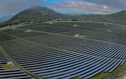 Khát vọng “Sếu đầu đàn” năng lượng tái tạo