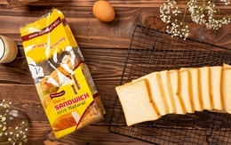 Vươn lên trong đại dịch, Bảo Ngọc kỳ vọng đạt doanh thu tăng trưởng 240%, niêm yết trên HNX