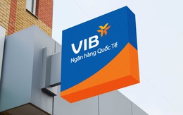 VIB lãi trước thuế 9 tháng đạt 4.025 tỷ đồng, bằng cả năm 2019