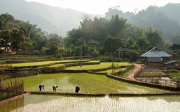 Tình yêu nghề và hành trình mang bảo hiểm chạm đến cuộc sống vùng cao