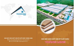 Vươn mình sau đại dịch, TLD bứt phá tăng trưởng vượt trội so với cùng kỳ