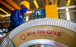 HSG: Lãi sau thuế NĐTC 2019-2020 đạt 1.151 tỷ đồng, lớn gấp 3,2 lần so với  NĐTC 2018-2019