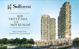 Newstarland phân phối dự án Sol Forest KĐT Ecopark