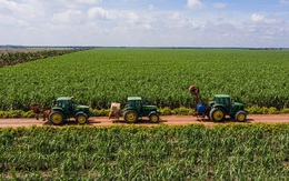 SBT thực hiện huy động 700 tỷ thông qua phát hành trái phiếu ra công chúng