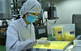 Dược Cửu Long: Đạt lợi nhuận kỷ lục