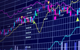 Nắm bắt thành công cơ hội vàng thời chứng khoán, MBS ước đạt lợi nhuận “khủng” năm 2020