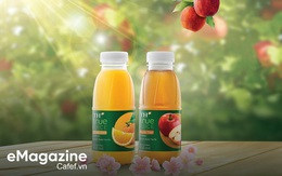 Chắt chiu tinh túy từ thiên nhiên: Hành trình bền bỉ của TH mang tới hạnhphúc đích thực cho người tiêu dùng