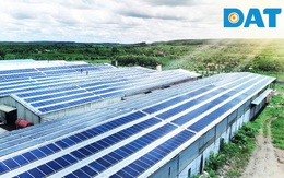 Doanh nghiệp lắp điện mặt trời không cần bỏ vốn