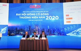 ĐHCĐ GELEX: Đẩy mạnh phát triển trên hai trụ cột, đặt kế hoạch lãi gần 1.000 tỷ đồng trong năm 2020