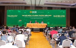 ĐHĐCĐ OCB: Đặt mục tiêu lợi nhuận 4.400 tỷ đồng trong năm 2020