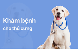 Mypet - Ứng dụng tiên phong tại Việt Nam về chăm sóc thú cưng toàn diện