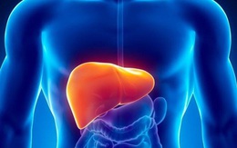 Gan quá tải mùa Lễ Tết và bí kíp giữ sức khoẻ dịp Lễ Tết từ ba diễn viên nổi tiếng