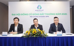 ĐHCĐ bất thường APH: Thông qua phương án phát hành thêm 55,7 triệu cổ phiếu