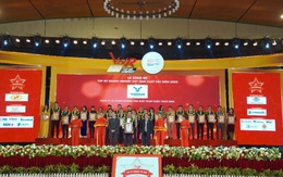 Thiên Nam Group và những điểm sáng kinh doanh năm 2020